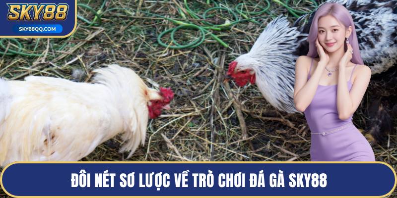 Đôi nét sơ lược về trò chơi đá gà SKY88