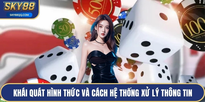 Khái quát hình thức và cách hệ thống xử lý thông tin
