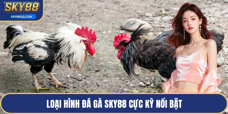 Loại hình đá gà SKY88 cực kỳ nổi bật