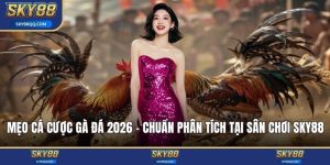 Mẹo cá cược gà đá 2026